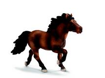 island pony .jpg